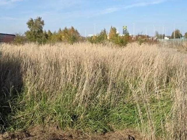 Działka 790 m², Dąbrowa Górnicza
