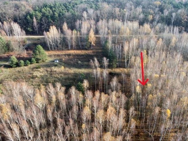 Działka 792 m², Drwalew