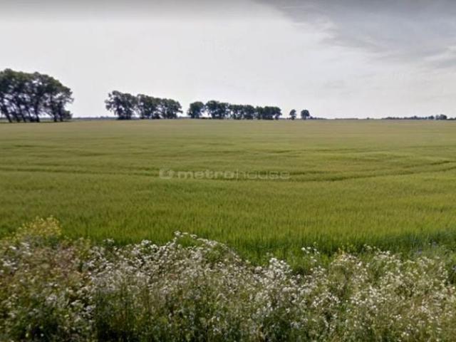 Działka 79 900 m², Luciny