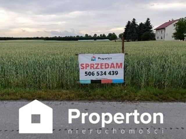 Działka 7000 m² z mediami i asfaltowym wjazdem
