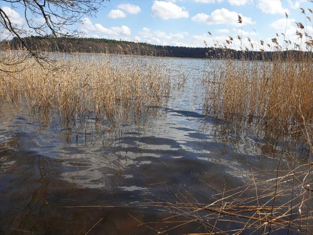 Działka 7000 m² z widokiem na jezioro Sasek Wielki