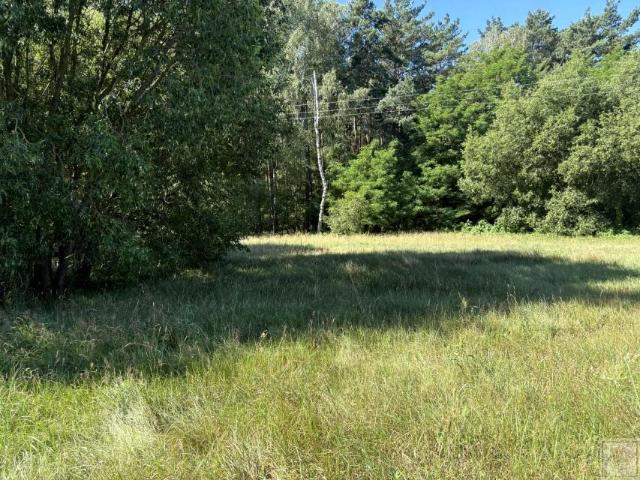 Działka 70 000 m², Osowo Stare