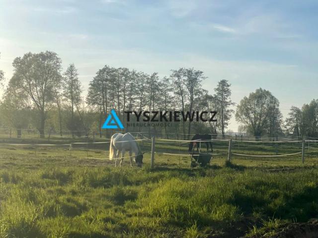 Działka 74 496 m², Przemysław