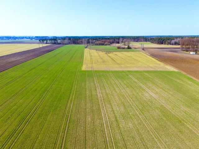 Działka 713 m², Gniezno