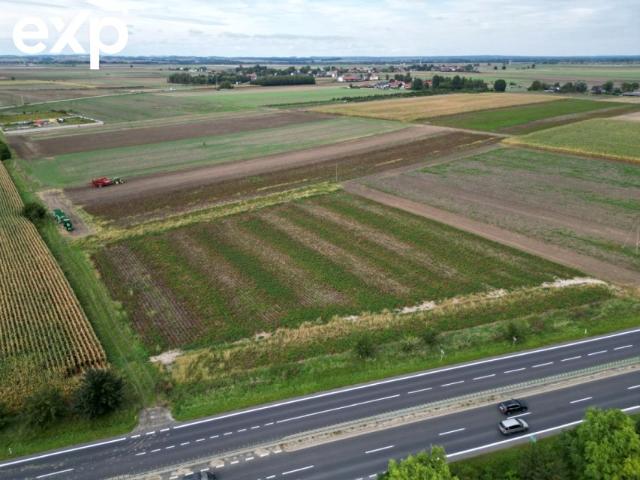 Działka 71 380 m², Borowa