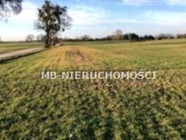 Działka 71 400 m², Stary Dwór