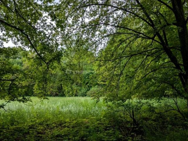 Działka 72 700 m², Maruszewiec Nowy