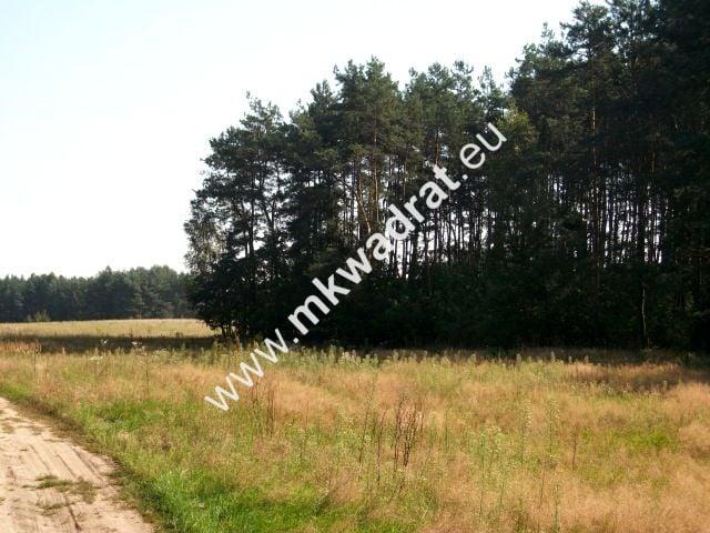 Działka 7 009 m², Budy Mszczonowskie