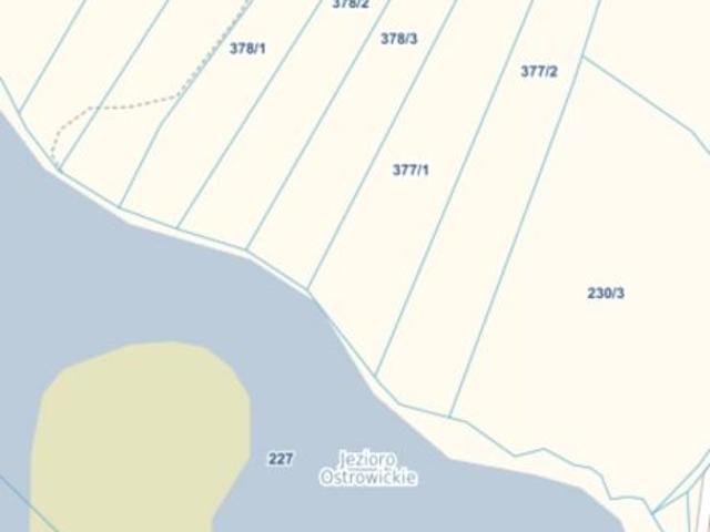 Działka 7 000 m², Borowy Las