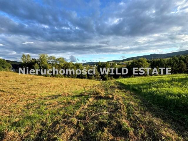 Działka 7 000 m², Bukowiec