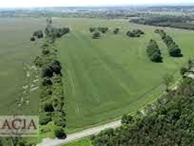 Działka 7 000 m², Kalisz