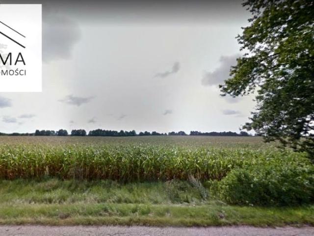 Działka 7 000 m², Lipienica