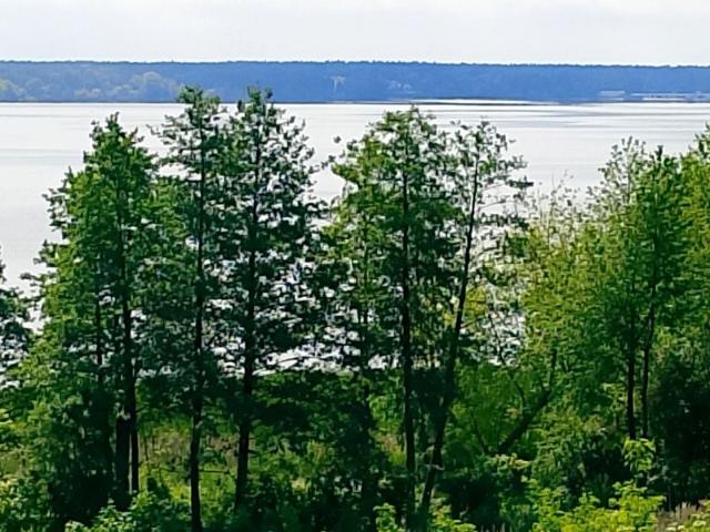 Działka 7 000 m², Serock