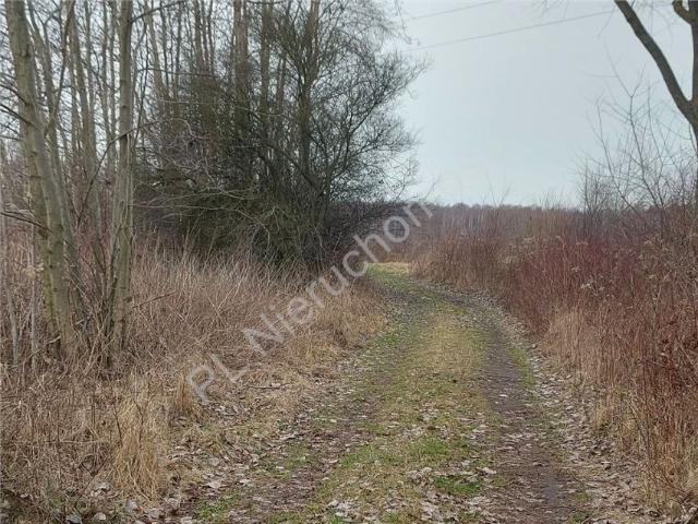 Działka 7 020 m², Dobczyn