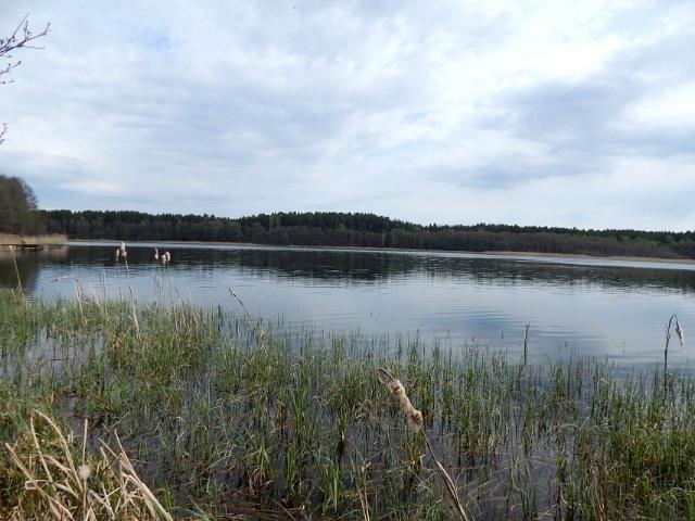 Działka 7 053 m², Nierostowo
