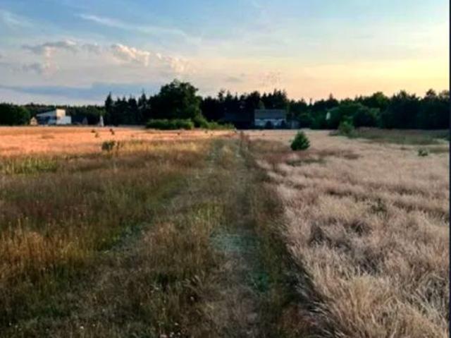 Działka 7 100 m², Stęszów