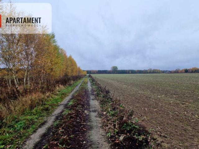 Działka 7 136 m², Żołędowo