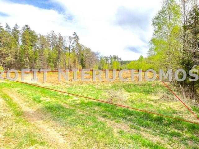 Działka 7 154 m², Dziechno