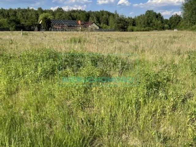 Działka 7 196 m², Stare Budy
