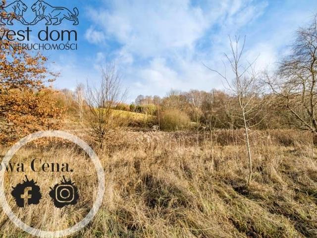 Działka 7 200 m², Bączal Dolny
