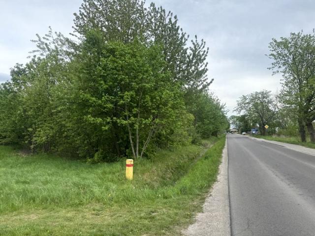Działka 7 264 m², Mrowla