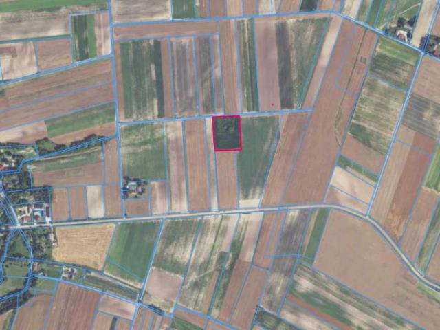 Działka 7 300 m², Błogocice