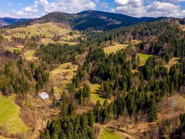 Działka 7 300 m², Łomnica Zdrój