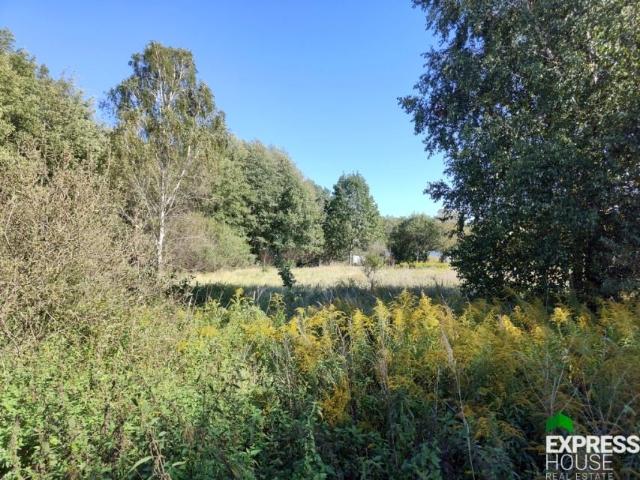 Działka 6 889 m², Placydów