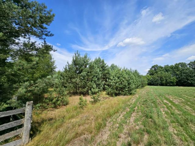 Działka 7 400 m², Plichta