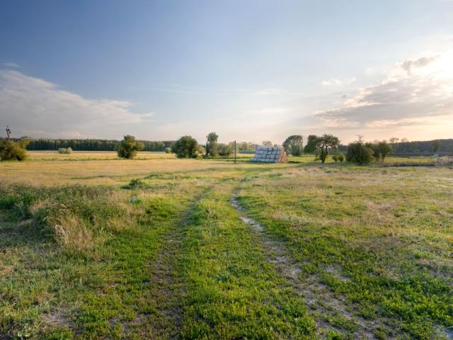 Działka 7 500 m², Czarnowo