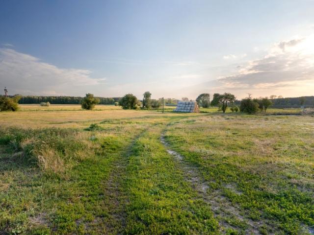 Działka 7 500 m², Czarnowo
