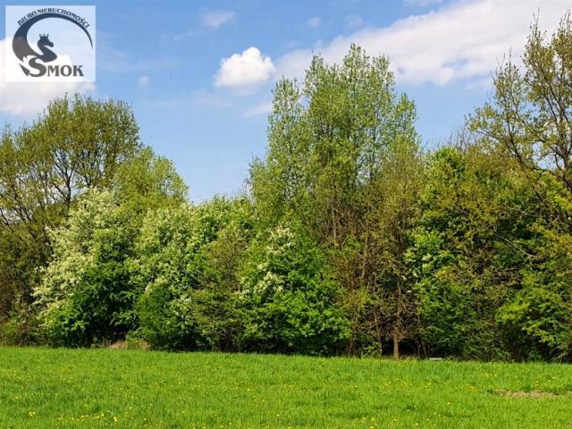Działka 7 500 m², Kraków