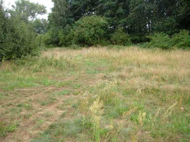 Działka 7 500 m², Kunowo