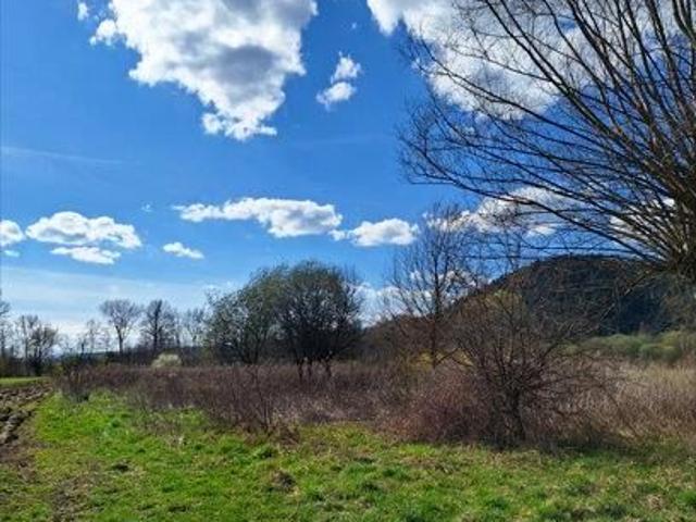 Działka 7 500 m², Nowy Sącz