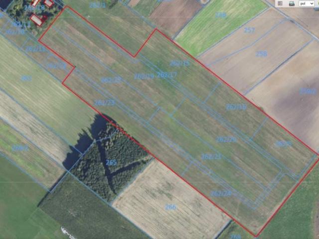 Działka 7 524 m², Wielki Bukowiec