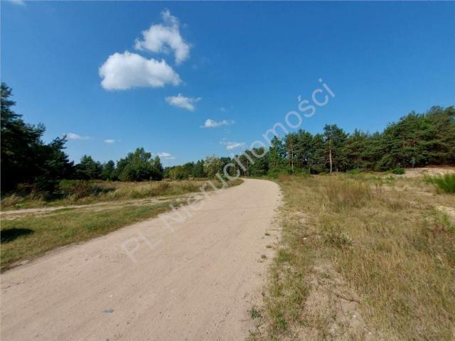 Działka 7 542 m², Kołaków