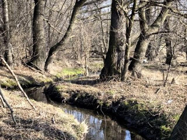 Działka 7 624 m², Żywiec
