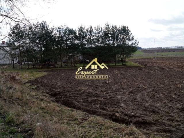 Działka 7 700 m², Laseczno