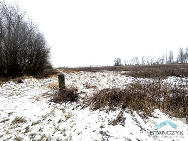 Działka 7 700 m², Wolin