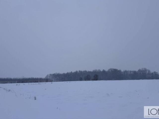 Działka 7 700 m², Łukowa