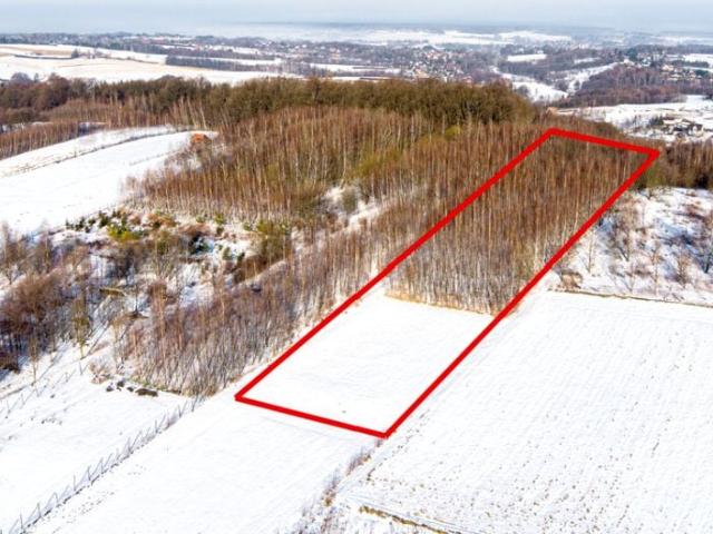 Działka 7 800 m², Grabno