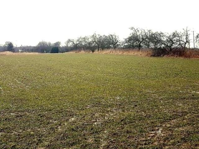 Działka 7 800 m², Uniszowice