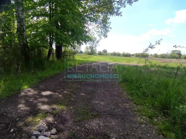 Działka 7 900 m², Chrzanów Mały