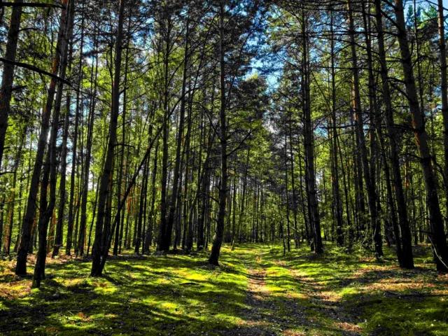 Działka 7 900 m², Klizin
