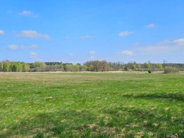 Działka 7 938 m², Borucice