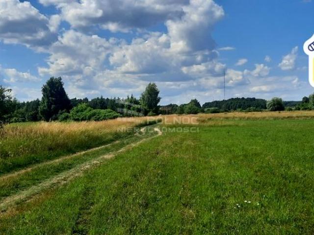 Działka 7 985 m², Dobrzyniewo Kościelne