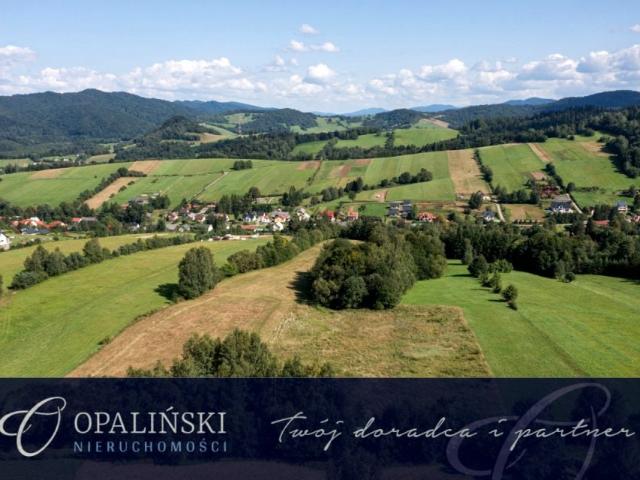 Działka 7 999 m², Bukowiec