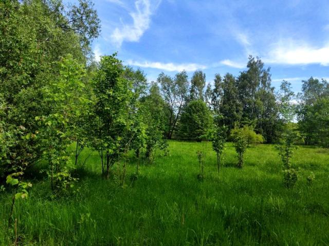Działka 842 m², Pobiedna