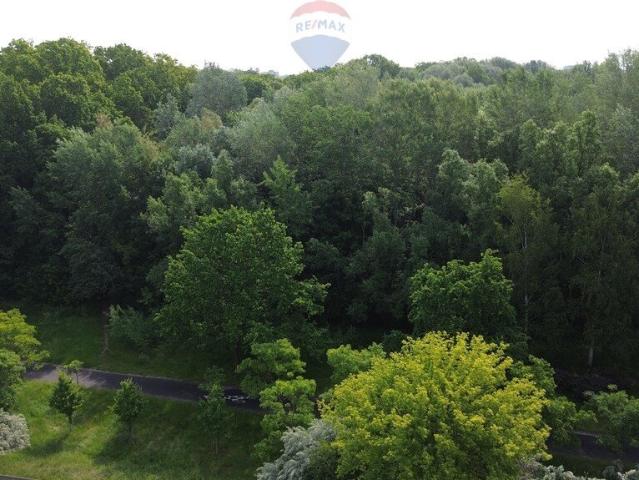 Działka 849 m² w prestiżowym Sołaczu, plan zagospodarowania