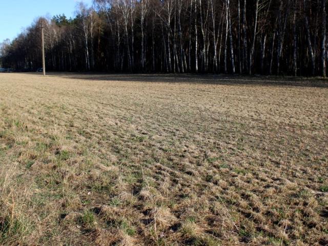 Działka 1 140 m², Łabiszyn Wieś